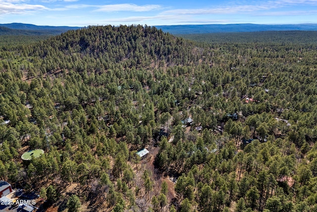3123 S Indian Paint Ln, Pinetop, AZ 85935 - view of property location featuring a forest and a mountainous background