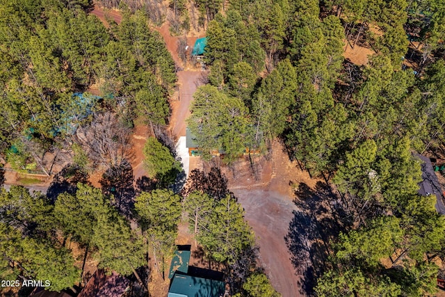 3123 S Indian Paint Ln, Pinetop, AZ 85935 - drone / aerial view