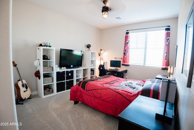 4226 E Coconino Pl, Chandler, AZ 85249 - bedroom featuring multiple windows and carpet floors