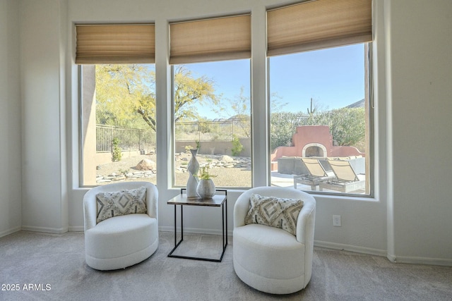 living area with carpet floors