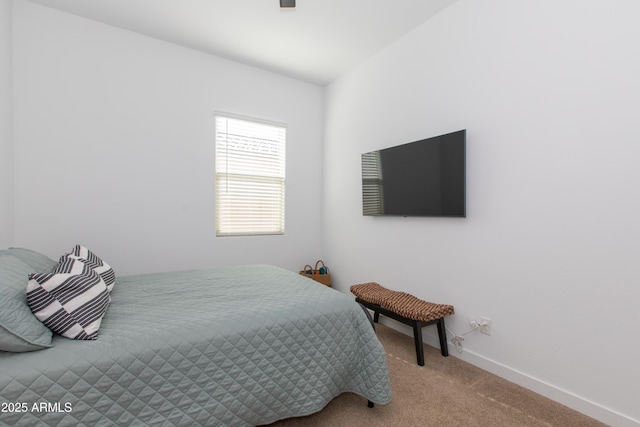 bedroom with carpet floors