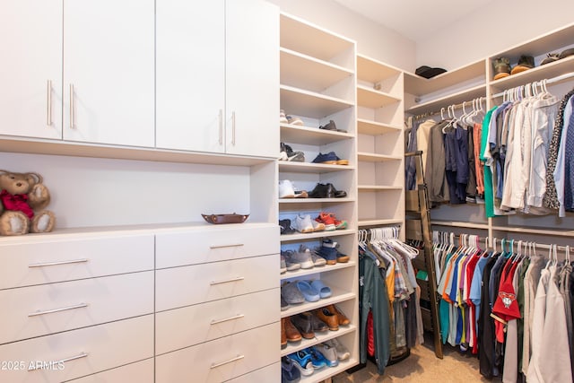 spacious closet featuring light colored carpet