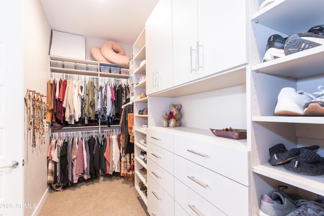 spacious closet featuring light carpet