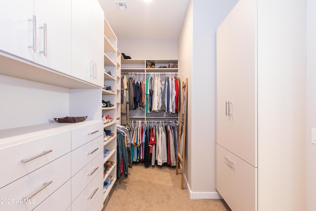 spacious closet featuring light carpet