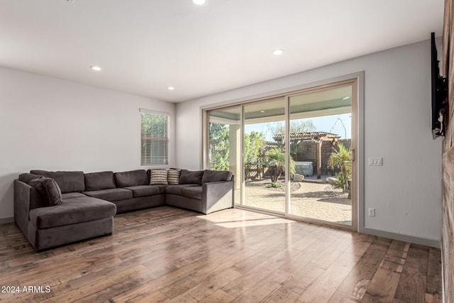 living room with hardwood / wood-style floors