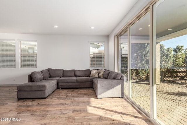 living room with light hardwood / wood-style flooring