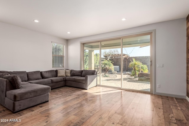 living room featuring wood-type flooring