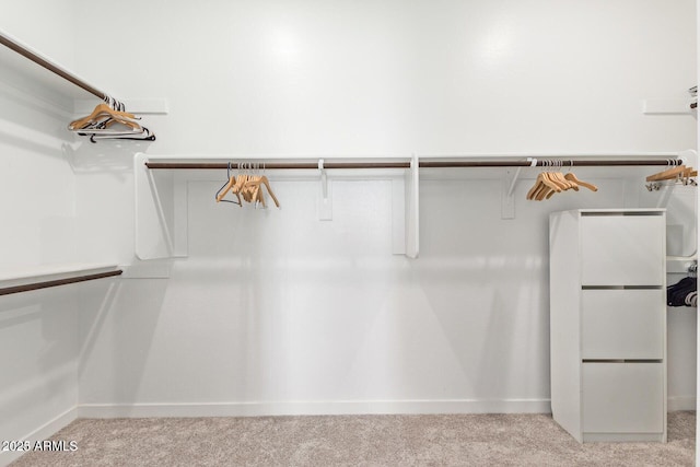 spacious closet with carpet flooring