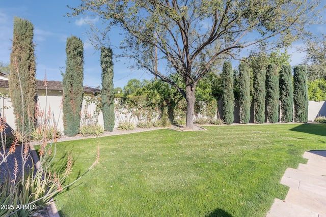 345 W Gardenia Dr, Phoenix, AZ 85021 - view of yard featuring a fenced backyard