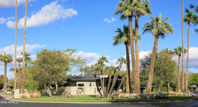 345 W Gardenia Dr, Phoenix, AZ 85021 - exterior space featuring stucco siding and a front lawn