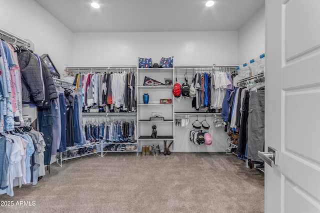 22837 E Silver Creek Ln, Queen Creek, AZ 85142 - walk in closet featuring carpet flooring