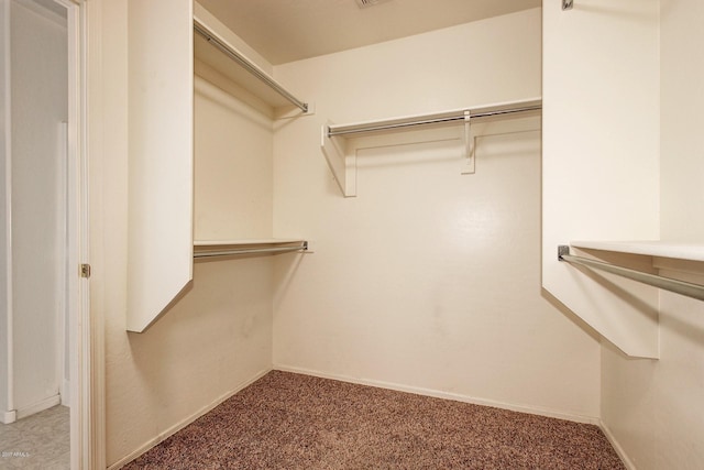 spacious closet featuring carpet flooring