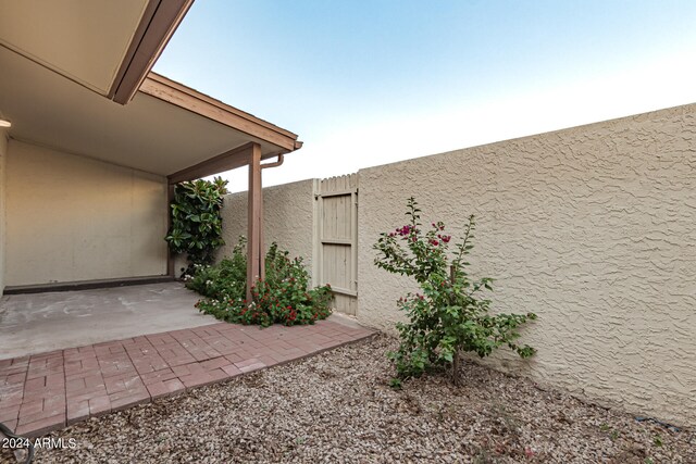 view of yard featuring a patio