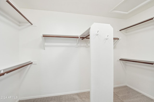 spacious closet featuring light colored carpet