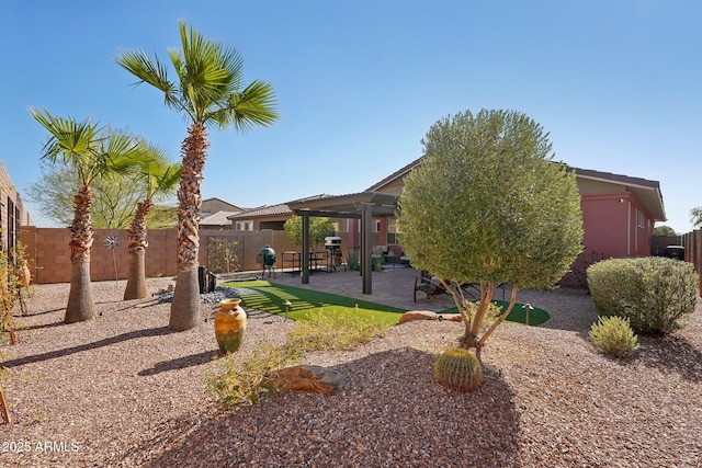 view of yard featuring a patio area