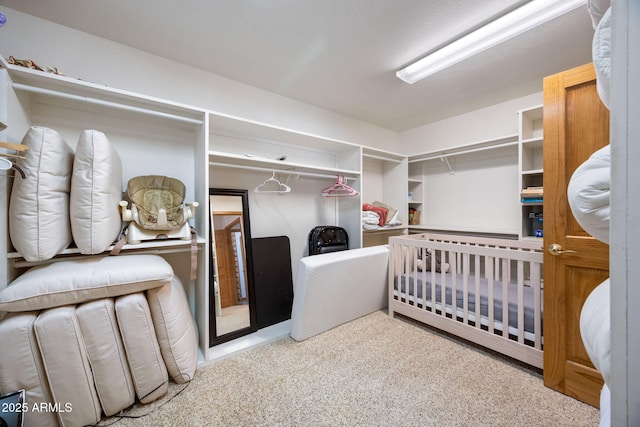 2 Acr 1027 Rd, Greer, AZ 85927 - walk in closet with carpet floors