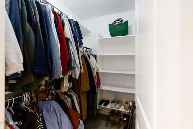 view of spacious closet