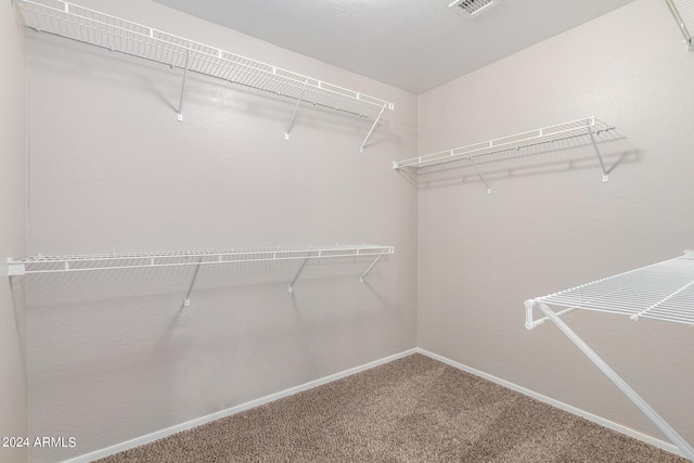 walk in closet featuring carpet flooring