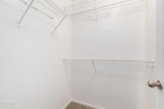 walk in closet featuring carpet flooring