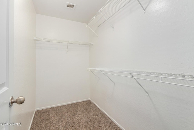 walk in closet featuring carpet flooring