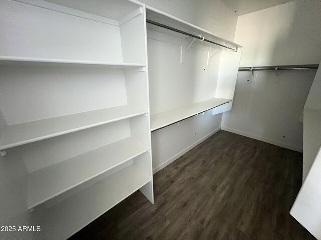 spacious closet featuring dark wood-style flooring