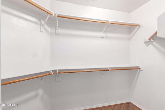 spacious closet featuring wood-type flooring