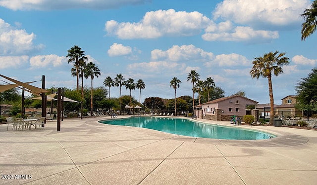 view of swimming pool with a patio area