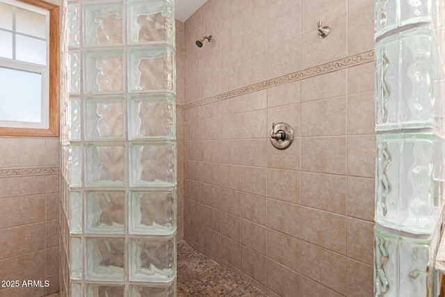 bathroom featuring a walk in shower