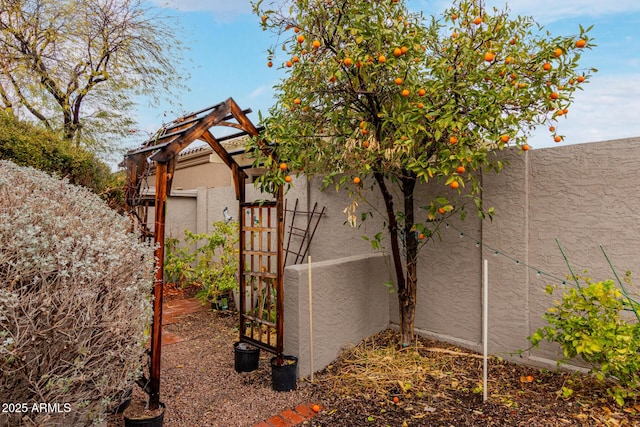 view of home's exterior featuring stucco siding