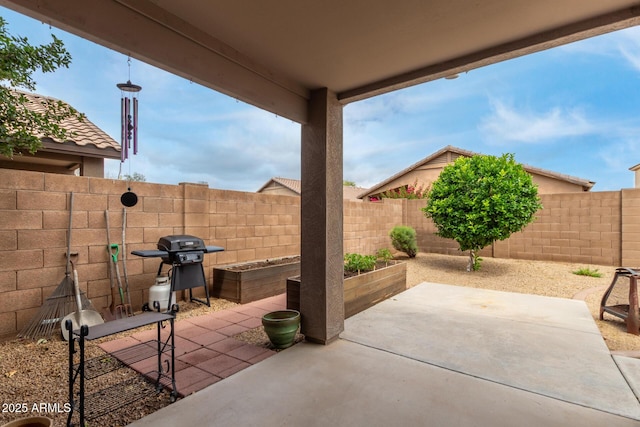 view of patio / terrace with a fenced backyard and a grill