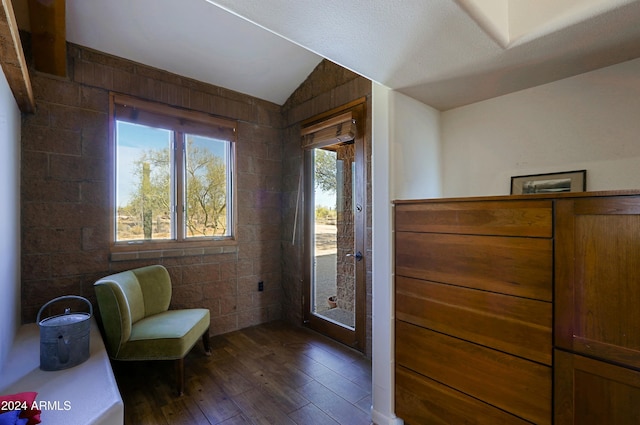 sitting room featuring dark hardwood / wood-style floors and vaulted ceiling