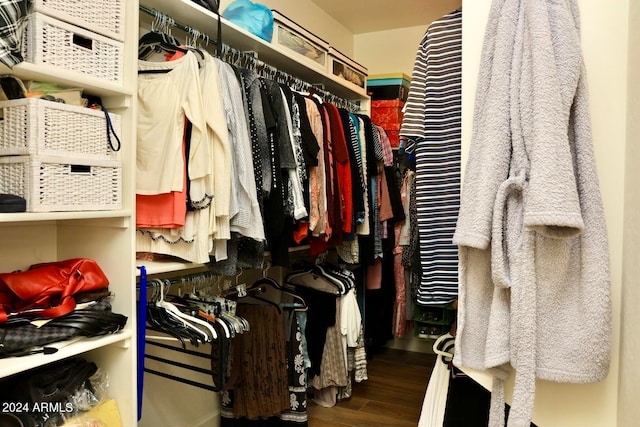 walk in closet featuring wood-type flooring