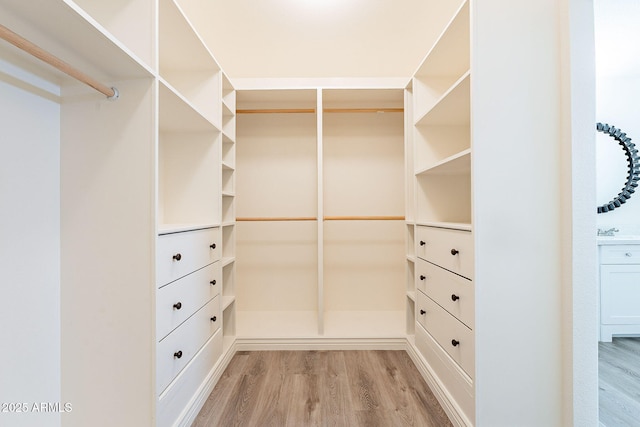 walk in closet featuring wood-type flooring and sink