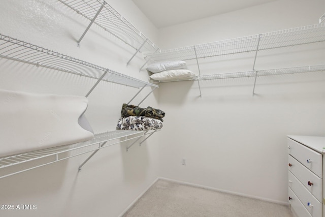 spacious closet with carpet