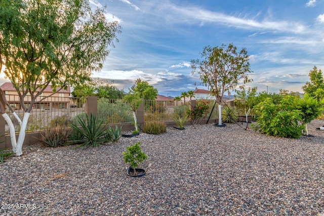 136 N 236th Ave, Buckeye, AZ 85396 - view of yard with fence