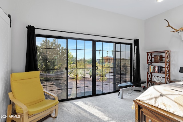 bedroom with carpet floors and multiple windows