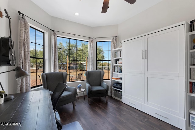 office space featuring dark wood-type flooring and ceiling fan