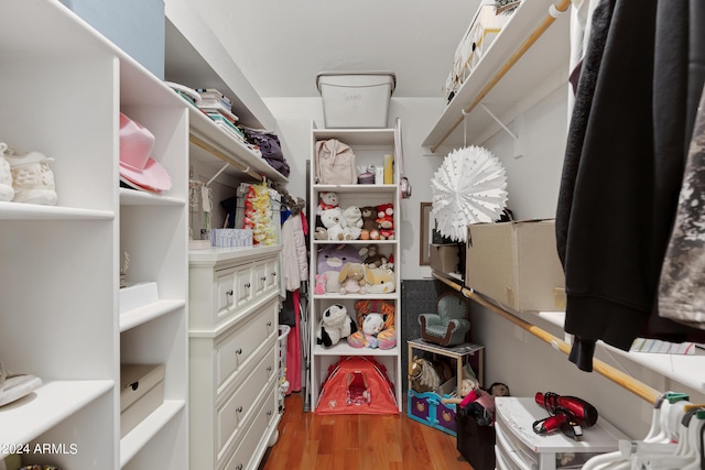 spacious closet with hardwood / wood-style floors