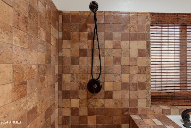 interior details with tiled shower