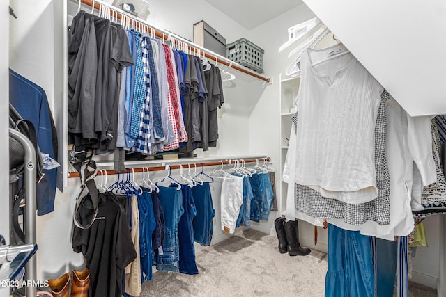 spacious closet featuring carpet