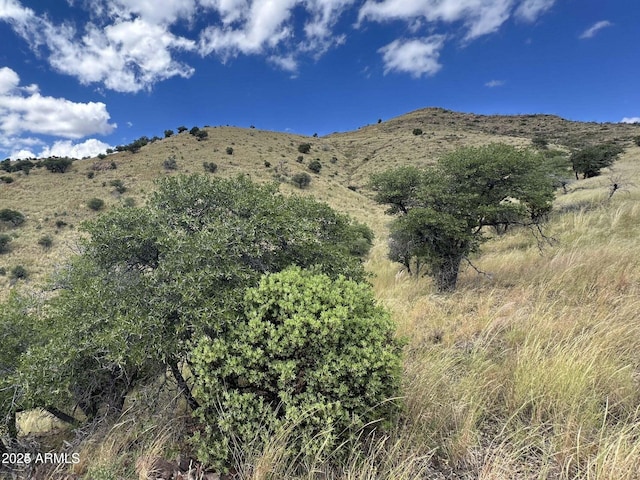 Listing photo 3 for TBD Zacatecas Cyn Unit 24, Bisbee AZ 85603