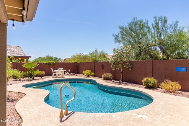 view of swimming pool with a patio area