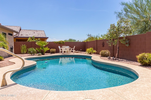 view of pool with a patio