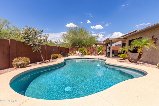 view of pool featuring a patio area