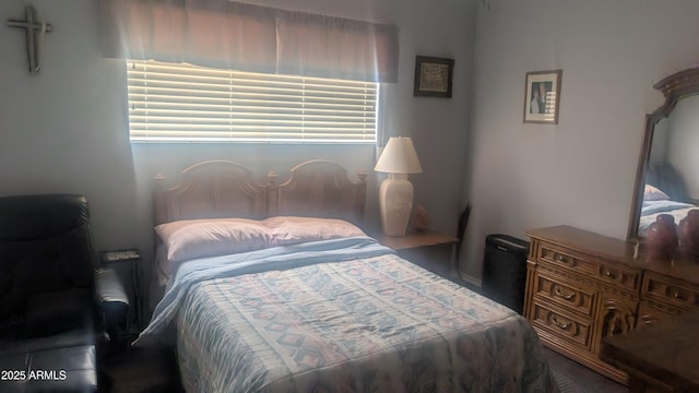 962 S Main Dr, Apache Junction, AZ 85120 - view of bedroom