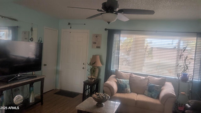 962 S Main Dr, Apache Junction, AZ 85120 - living room with wood finished floors, ceiling fan, and a textured ceiling