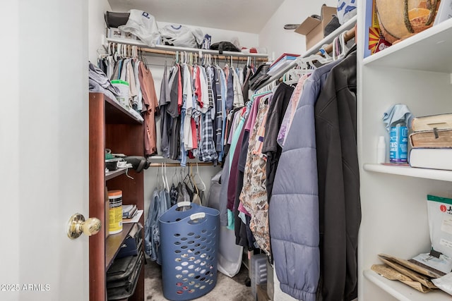 view of walk in closet
