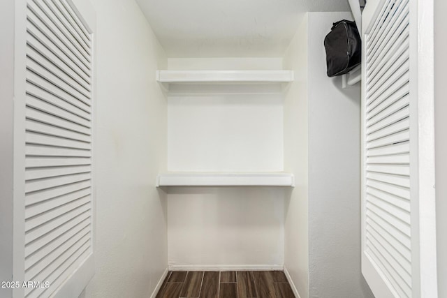 spacious closet with wood-type flooring