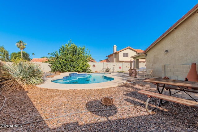 view of swimming pool with a patio