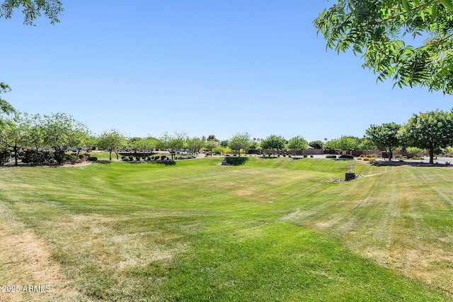 view of yard featuring view of golf course